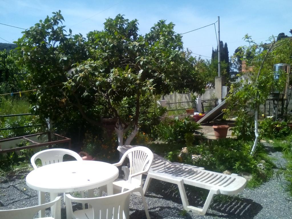 Paradise Apartament *