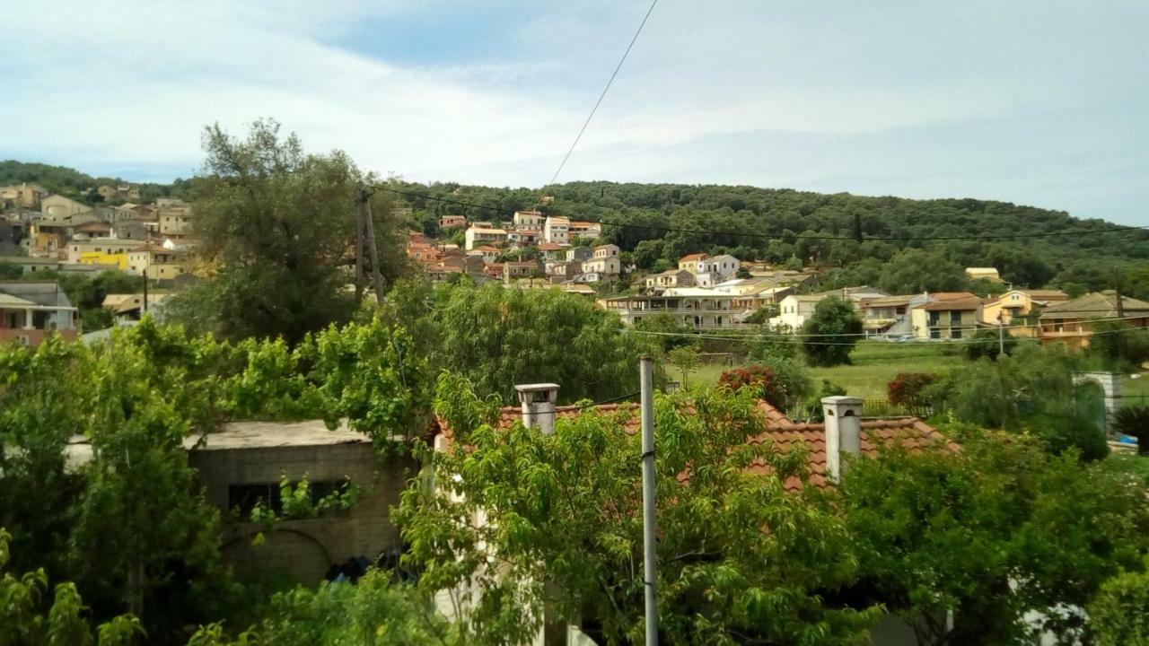 Paradise Apartament